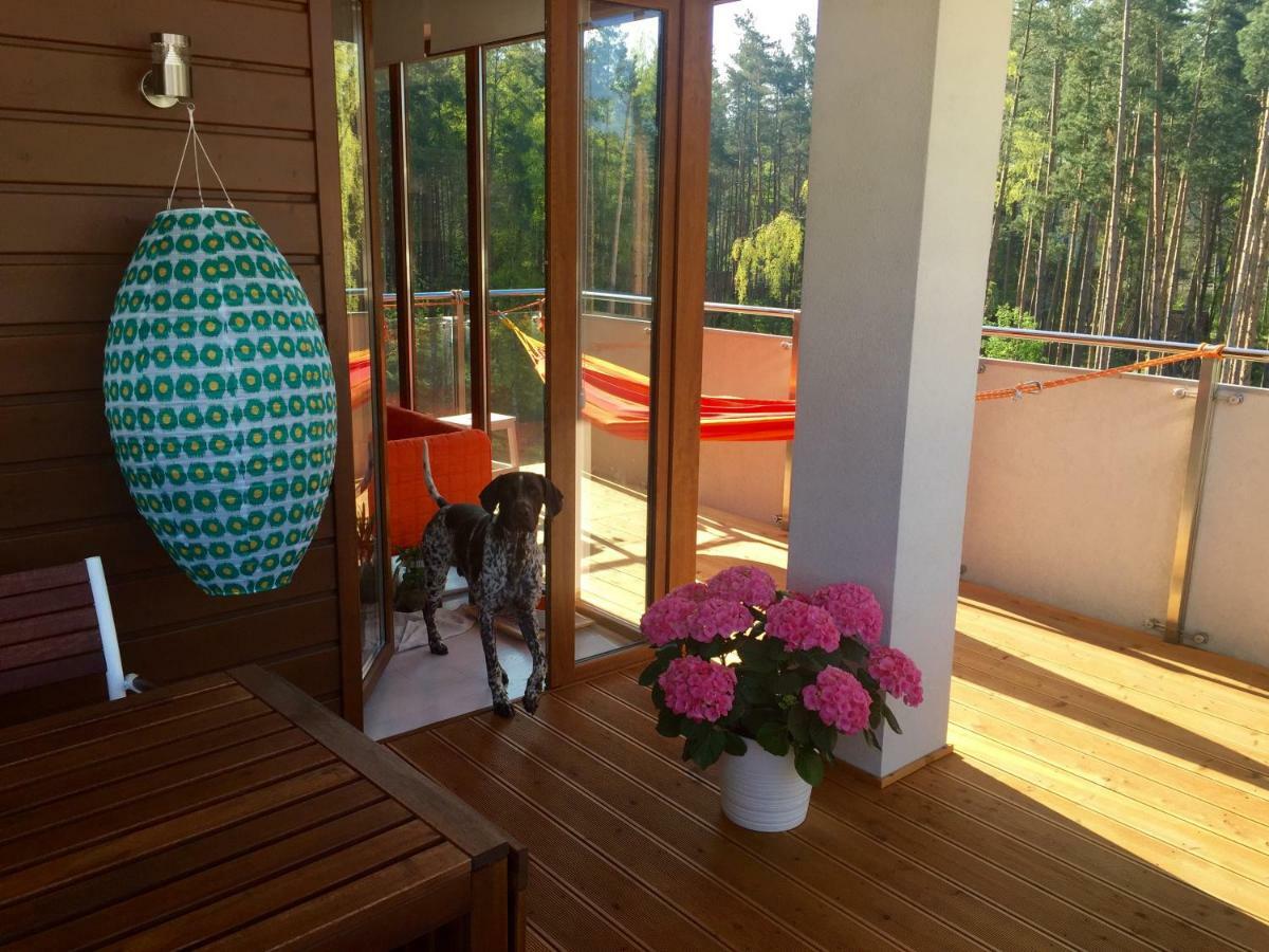 Apartamenty Flaming Baltic Park Stegna מראה חיצוני תמונה